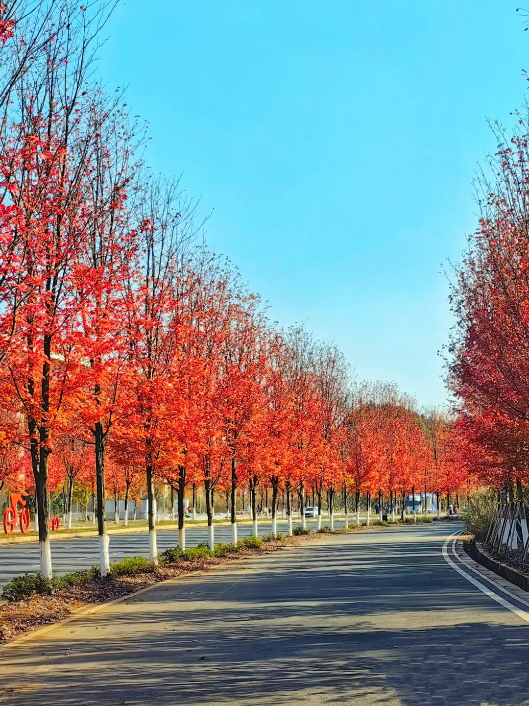 已使用 益陽網紅大道，圖源于紅網.jpg