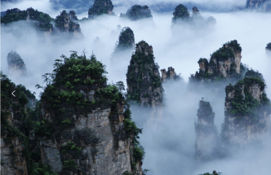 康養(yǎng)游大勢(shì)已至，張家界武陵源區(qū)點(diǎn)“藥”成金